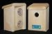 Coveside Window Nest Box