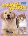 Books : The RSPCA Animal Action Annual 2009: RSPCA Animal Action Annual
