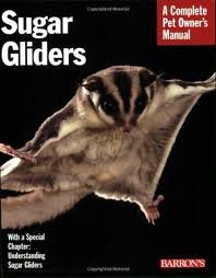 Sugar Gliders (Complete Pet Owner's Manual) Publisher: Barron's Educational Series; 2nd (second) edition Text Only