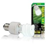 Kitchen & Housewares : Exo Terra Repti-Glo 5.0 Compact Fluorescent 13W