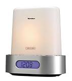 Produkt-Bild: Karcher UR 1205 Uhrenradio silber