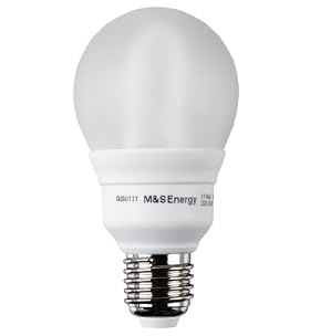 11W GLS E27 Energy Saving Light Bulb