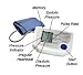 Personal Health Care : Lifesource DeLuxe Automatic Digital Blood Pressure Unit