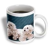 Dogs Maltese - Maltese - Mugs
