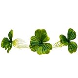 Exo-Terra Water Lettuce Floating Water Plants Color:Green