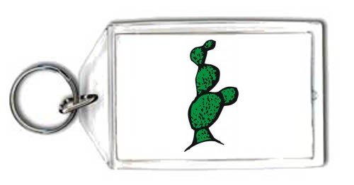 Schlüsselhalter - spiny, Wasser, Pflanze, United States, südwestlichen Wüste, Sukkulenten, Cactus, leafless, dornig, stachelig