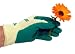 The Summer Glove Medium