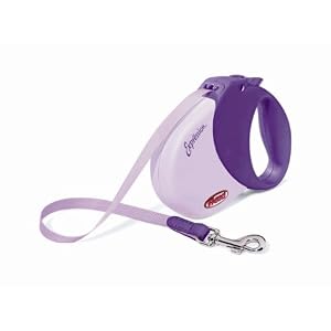 Flexi-Expression-16-Feet-Retractable-Leash-for-Dogs-Up-to-44-Pound-Purple