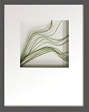 �s���[�t�A�[�g�tHana concept frame Needle grass�i�j�[�h���O���X�j