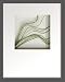 �s���[�t�A�[�g�tHana concept frame Needle grass�i�j�[�h���O���X�j