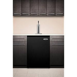 24\” Built-in Full Keg Ale Dispenser regarding Household Utilize