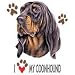 I Love My Coonhound Womens Scoop Neck T-Shirt