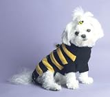 Bumblebee Sweater (Size 10)