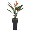 artificial bird of paradise