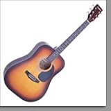Falcon Acoustic Guitar Tobacco S/burst FG100SB