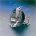 Halogen Light Bulb - 50W MR16