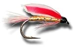 Parmachene Belle Wet Fly Fly Fishing Fly