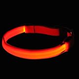 LED Hundehalsband Orange Deluxe M: 50 - 59 cm