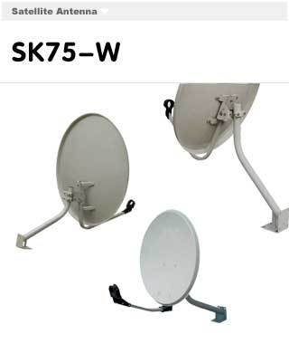 GLOBECAST 30