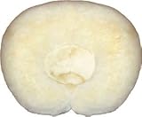 Hugger - Polar Bear Pet Bed : Size 27 INCH - STANDARD