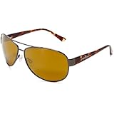 Eagle Eyes Magellan Apollo Gold Sunglasses