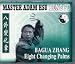 Bagua #2 Eight Changing Palms