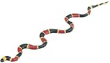 Coral Snake Baby