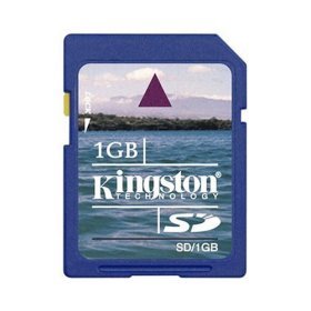 Kingston 1 GB Secure Digital Flash Card ( SD/1GB ) (Retail Package)