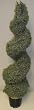 5' INDOOR / OUTDOOR Spiral Dusty Miller Topiary Tree