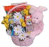 Certified Organic Children's Easter Basket