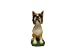   - Mini Bobble Head Dog Boxer