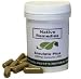Native Remedies Insulate Plus Blood Sugar & Pancreatic Health