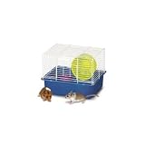 Pet Supplies : My First Hamster Home One Story