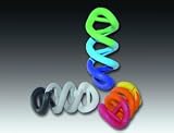 JW Pet Company Tough By Nature Dogs In Action Regular Dog Toy Asst Colors