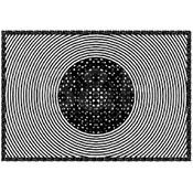 Nikon G1 Focusing Screen for F5 Series