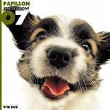 THE DOG パピヨン 2007年 カレンダー