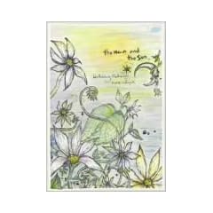 the Moon and the Sun [DVD]