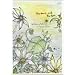the Moon and the Sun [DVD]