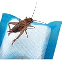 Zilla Cricket Water Pillow