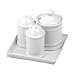 Williams-Sonoma WS Apilco Condiment Set
