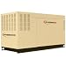 25/25 Kilo Liquid Propane / Natural Gas Liquid-Cooled Standby Generator, Steel Housin...