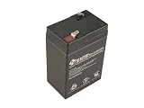 Battery-Biz Inc. 6 Volt 4.5 Ah SLA UPS battery