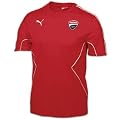 PUMA Ducati Corse Tee - Men's ( sz. M, Rosso Corso )