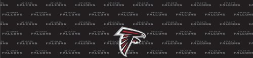 Atlanta Falcons Team Auto Visor Decal