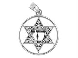 14K WHITE GOLD CHARM PENDANT w/DIAMONDS - STAR OF DAVID
