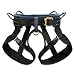 Sporting Goods : Bod Harness by Black Diamond