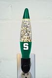 Michigan State Motion Night Light