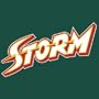 Seattle Storm WNBA Replica Jersey (EA)