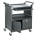31N4mWXS KL. SL75  Honey Can Do CRT 01513 Large Folding Shopping Cart Rolling 4 Wheel Utility Wagon, White