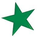 9'' Green Foil Stars